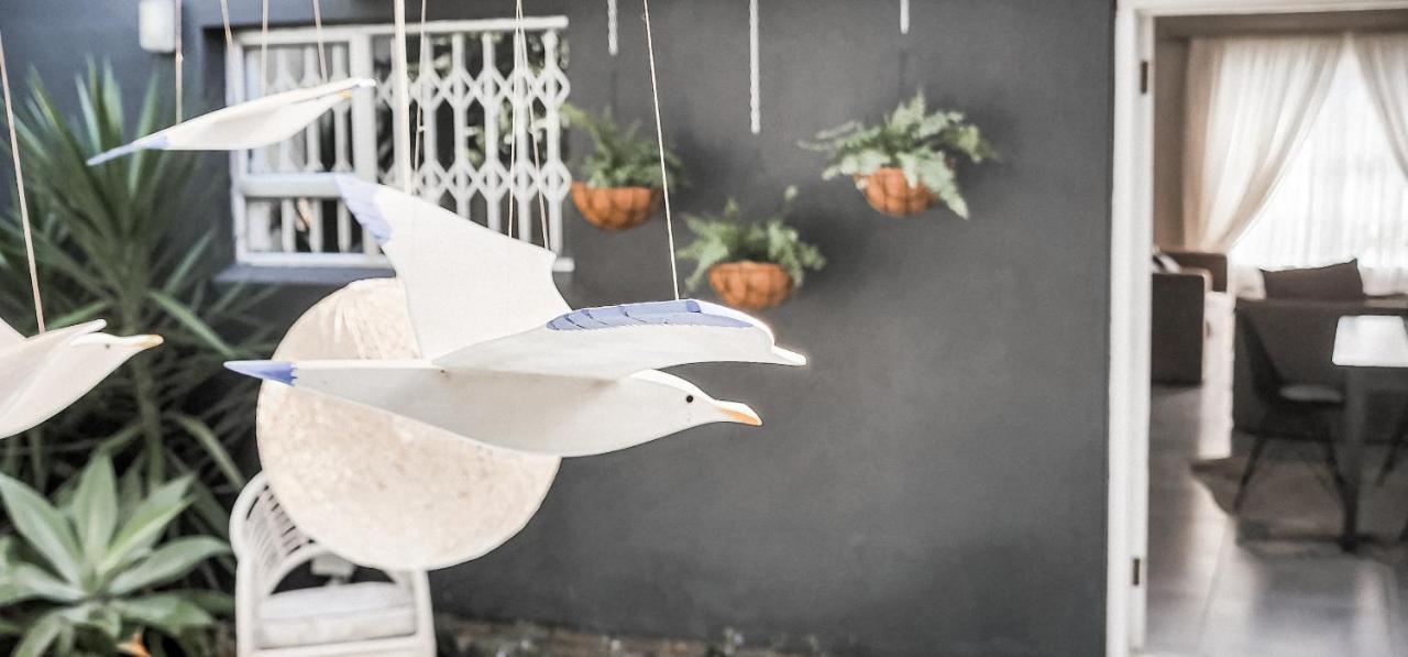 Seagull 赫曼努斯 外观 照片
